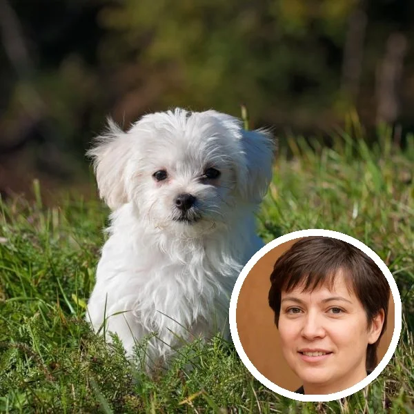 Maria Eduarda e seu cão